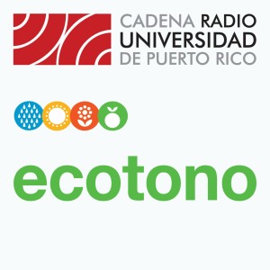 Ecotono