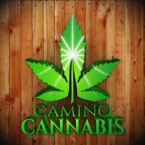 Camino Cannabis | Puerto Rico