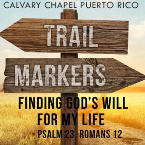 Finding God's Will For My Life