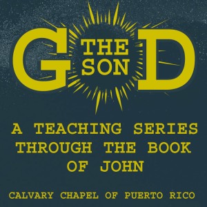 "God the Son" A Teaching Series Through the Book of John "God the Son" A Teaching Series Through the Book of John